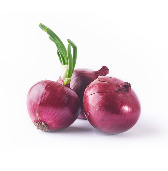 Red Onion